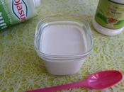 yaourts soja maison avec Stévia Crystal seulement kcal (diététiques, végans, sans sucre riches fibres)