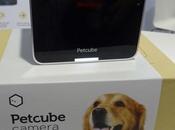 2015 Petcube, gadget pour s'occuper animal compagnie distance