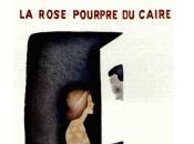 rose pourpre caire 7/10
