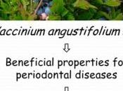 PARODONTITE: myrtilles pour éviter plaque Journal Agricultural Food Chemistry