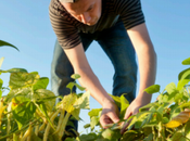 Soutenir l’agriculture française d'aujourd'hui celle demain?