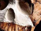 cousin n’en était peut-être