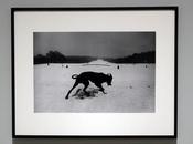 Josef koudelka fundacion mapfre madrid opening