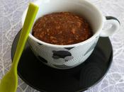 mugcake chicorée cacao soja psyllium (diététique, végan, hyperprotéiné, sans oeuf beurre sucre gluten, riche fibres)