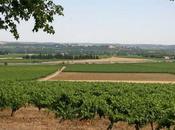 Journée Patrimoine Domaine Tour