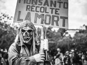 MONSANTO discorde