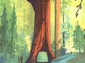 tunnel dans sequoia