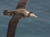 Peut-on limiter l’extinction espèces?