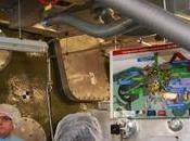 Sciences petawatt pour service