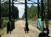 Cambridgeshire Meeting 2015 (Newmarket)