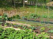 Taxe foncière pourquoi certains Français ont-ils leur impôt exploser