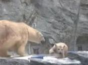 L’instinct fond piscine