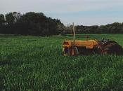 colère Fabrice Nicolino contre désastre agricole