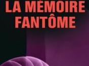 Lucie Hennebelle, tome mémoire fantôme