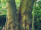 blog "Voyages suspens" Poussière toile