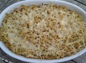 Gratin pâte courgettes sans gluten pour recette autour d'un ingrédinets
