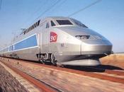 Bordeaux-Dax être catastrophe écologique majeure"