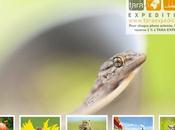 [Podcast #30] Jean-Philippe Anglade, directeur l’agence BiosPhoto