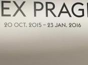 Galerie Galeries exposition ALEX PRAGER Octobre-23 Janvier 2016