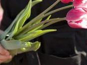 livraison fleurs faire plaisir proches toutes occasions