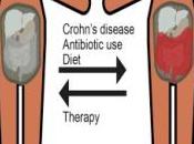Maladie CROHN: Traitements, réponse microbiote dysbiose intestinale Cell Host Microbe
