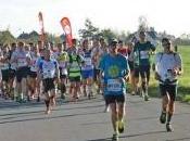 aladom Marathon vert