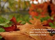 Mélodie d'automne avec Khalil Gibran