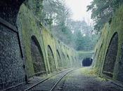 Petite Ceinture vestiges voie abandonnée capturés photographe Pierre Folk