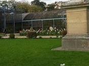 Jardin d'acclimatation