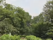 jardin Michelle Obama