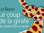 coup girafe, Grasset