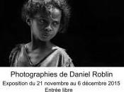 Exposition Daniel Roblin Musée Raoul Dastrac Aiguillon (47)