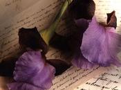 Point vue, simple décapant, loin bonnes pensées