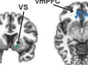 DÉPRESSION ANHÉDONIE: L'inflammation grille circuits récompense Molecular Psychiatry