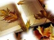 Check-up Lundi 23.11.15