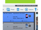 WinX Video Converter Deluxe convertisseur vidéo haute définition (Windows)