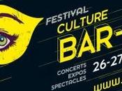 Festival Culture Bar-Bars résiste musique.