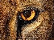 Saison A.Nemec, J.Pinkner, J.Appelbaum S.Rosenberg