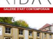 DART Metz exposition Tony SOULIE Décembre 2015