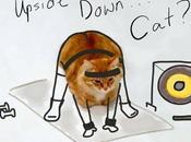 Voilà donne quand détourne photo chat