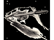 petit chat blanc Claude