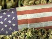 Légaliser cannabis pour remettre flot finances publiques