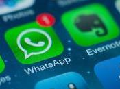 WhatsApp: L'app pour passer appels, envoyer messages, photos vidéos gratuitement