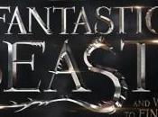 [News/Trailer] Animaux Fantastiques spin-off Harry Potter dévoile