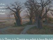 Aucun nous, agissant seul peut attendre succès Nelson Mandela