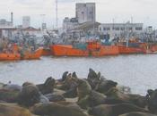 Trêve d'été austral Barrio Tango [ABT]