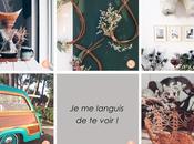 comptes Instagram français préférés