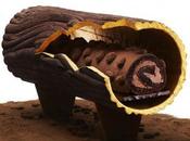 Gourmandise/Food bûche Perpetua Pierre Hermé