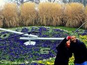 dernières photos 2015