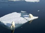 températures positives Pôle Nord lieu degrés habituels